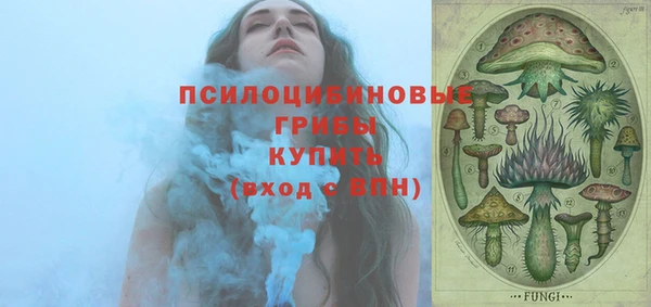 герыч Алексин