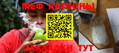 индика Гатчина