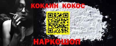 индика Гатчина