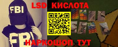 индика Гатчина