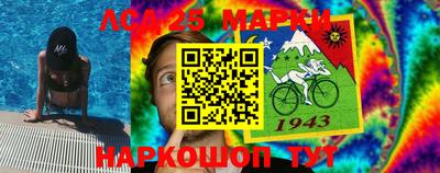 индика Гатчина