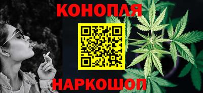 индика Гатчина