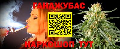 индика Гатчина