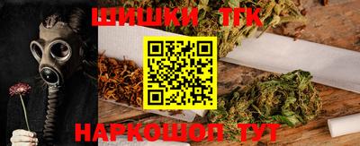 индика Гатчина