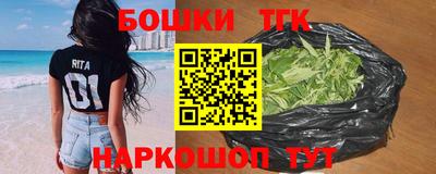 индика Гатчина
