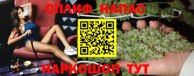 индика Гатчина