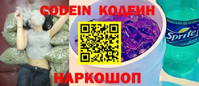 индика Гатчина