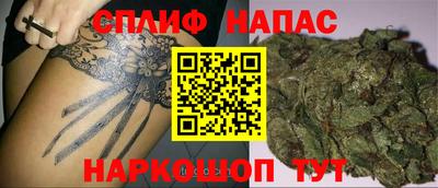 гашик Гагарин