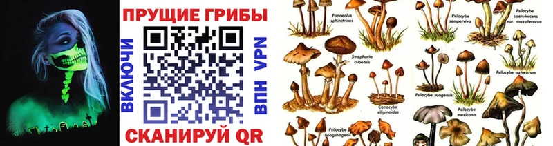 MEGA рабочий сайт  Добрянка  Псилоцибиновые грибы прущие грибы  где продают  