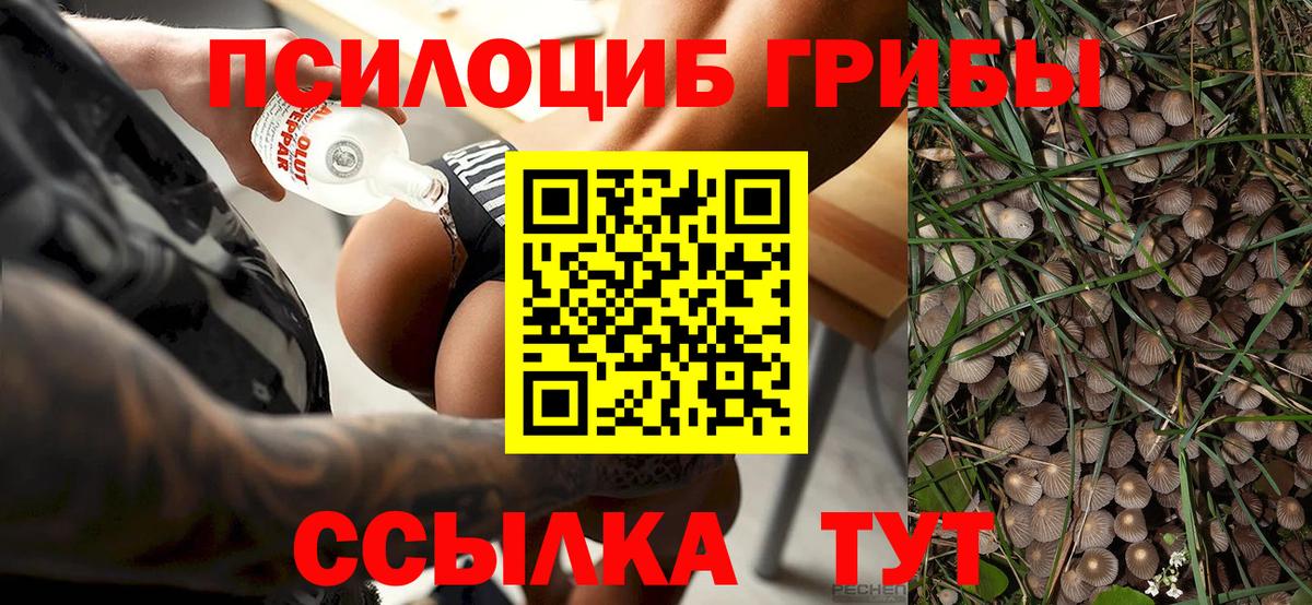 Галлюциногенные грибы прущие грибы  как найти закладки  Добрянка  Вход с VPN 